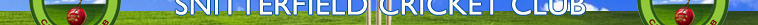 Snitterfield Cricket Club http://www.snitterfieldcricketclub.co.uk